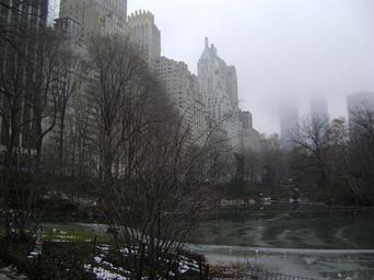 central-park-new-york-city-fog-409573.jpg