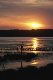 Sunset reflected on open water with nesting box in foreground and far shore in background.jpg