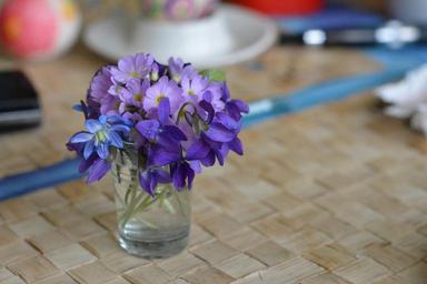 bouquet-decoration-violet-violets-719444.jpg