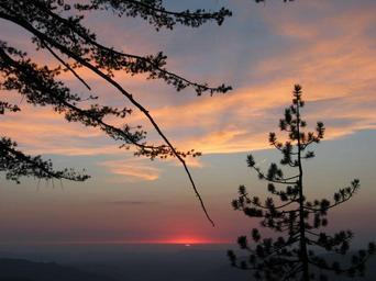 Sunset with pine trees and clouds.jpg