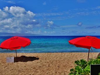 beach-sun-vacation-ocean-tropical-1154820.jpg